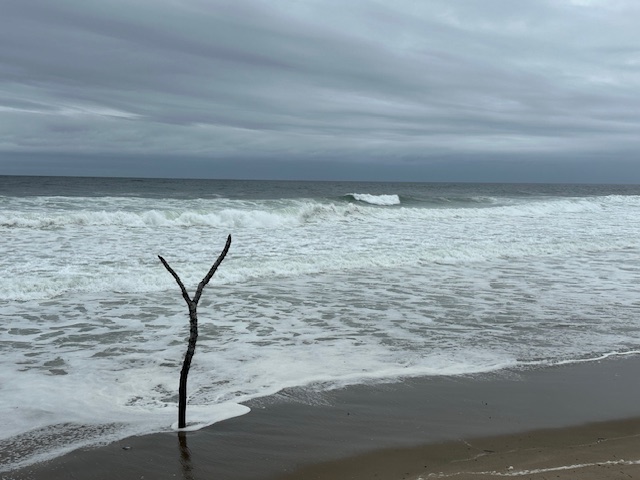 The ocean takes on a wildness and fury that tells you yhat you are in a special place.