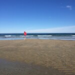 at Withrows ON THE BEACH, Moody Beach, Maine