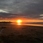 at Withrows ON THE BEACH, Moody Beach, Maine